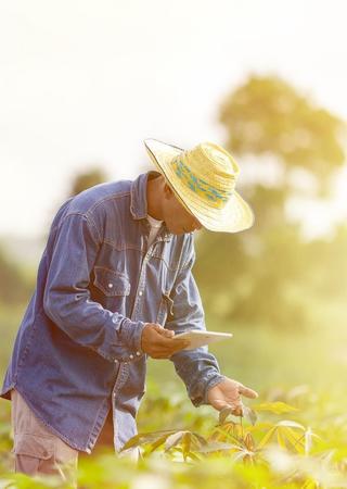 Farmer Man checking plants