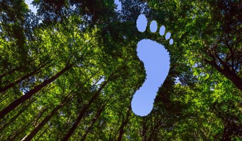 Carbon Footprint Trainings