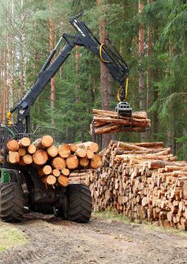 Eu Timber Regulation (EUTR)